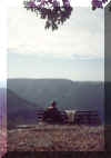 alb15.jpg (39624 Byte)