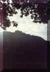 alb1.jpg (45185 Byte)