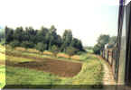 alb28.jpg (68939 Byte)