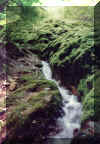 alb3.jpg (69585 Byte)