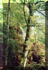 alb4.jpg (91825 Byte)
