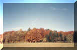 alb6.jpg (42684 Byte)